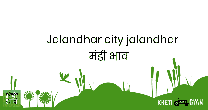 Jalandhar City(Jalandhar) मंडी भाव की ताज़ा तस्वीर